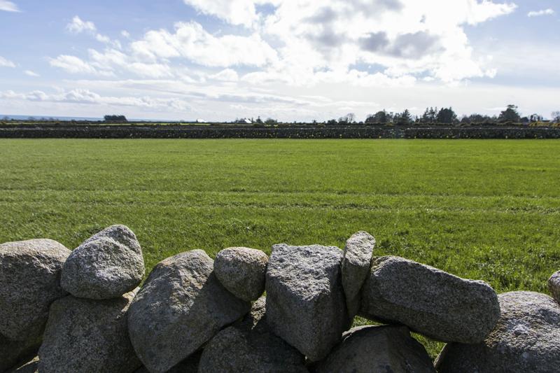 Cjp_2017-03-21_142840 (2).jpg